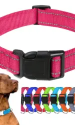 Choker Small Dog Collar Puppy Neck Collars for Dogs Big Decorative Dog Collar GXQ07