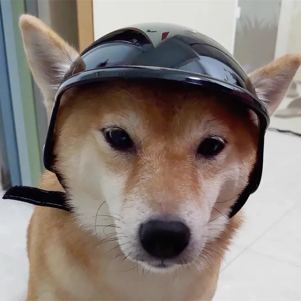 Hiking Cycling French Bulldog Pet Locomotive Helmet Handsome Dog Accessories for Small Medium Dogs Puppy mascotas Hat Headgear - Image 6