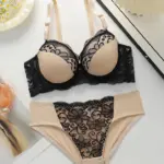 Women's sexy embroidered lace lingerie set with steel ring gathering push up daily casual close fitting bra set B2076