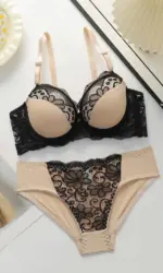 Women's sexy embroidered lace lingerie set with steel ring gathering push up daily casual close fitting bra set B2076