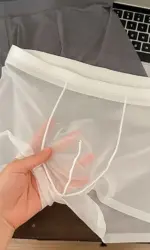 Mens Ice Silk Underwear Seamless Transparent Boxer Shorts Sexy Ultra-thin Breathable Panties Male Quick Dry U Pouch Underpants