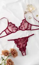 2-Piece Lace Bra Set Women Floral Embroidery Underwear Set Transparent Pink Panty Set 2023 Lingerie Set for Women