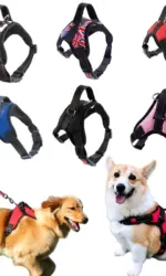 Small Medium Large Dog Harness Strong Harness Vest for Dogs Pet Shop Everything for Dogs Golden Retriever Chihuahua Accessories