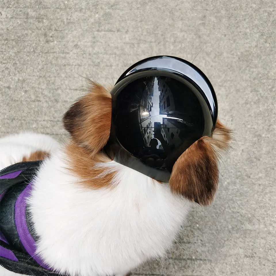 Hiking Cycling French Bulldog Pet Locomotive Helmet Handsome Dog Accessories for Small Medium Dogs Puppy mascotas Hat Headgear - Image 5