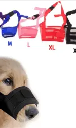 Anti Barking Dog Muzzle For Small Large Dogs Adjustable Mesh Breathable Pet Mouth Muzzles For Dogs Nylon Straps Dog Accessories