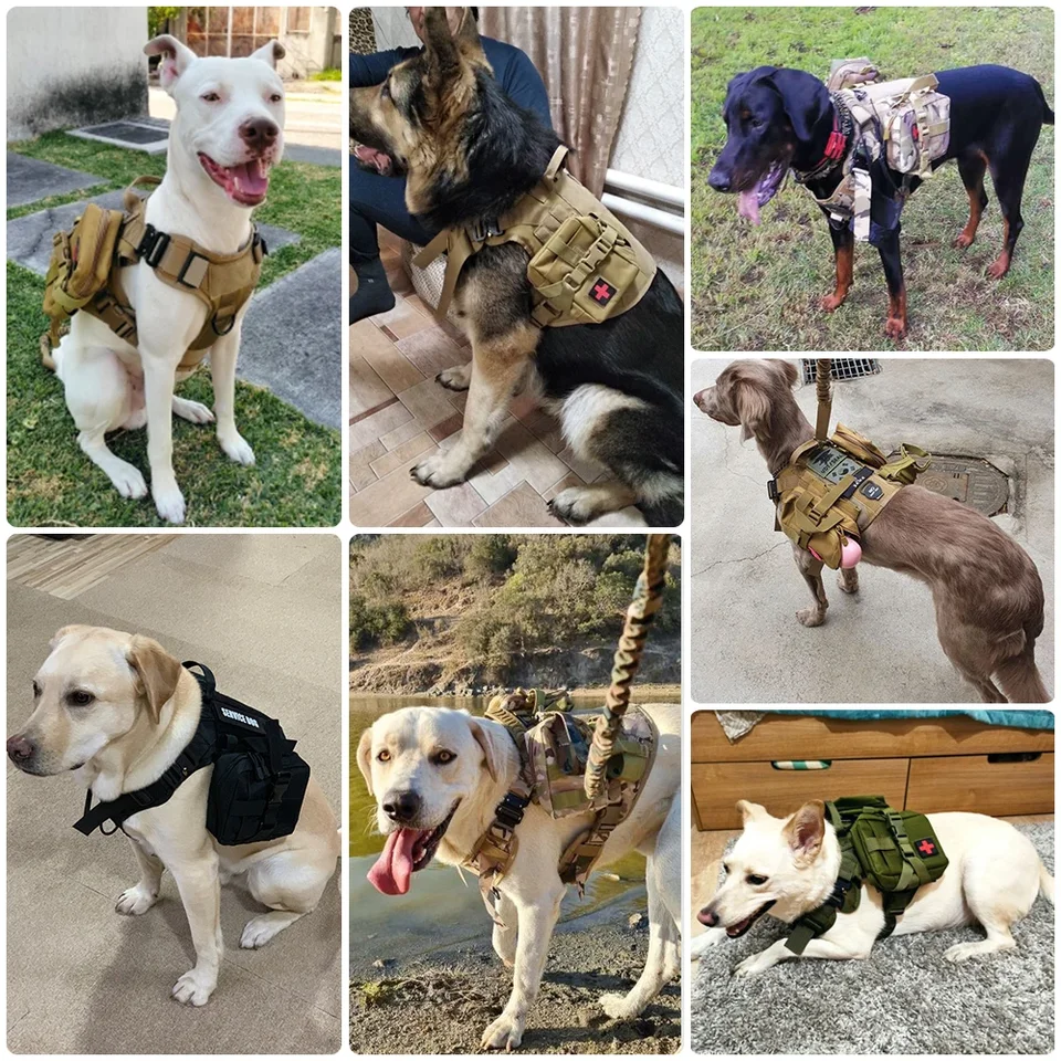 Dog Harness for Large Dogs Collar Leash Molle Pouch Military Harnesses French Bulldog Pet Tactical Training Vest Dog Accessories - Image 5