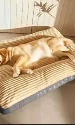 Big Dog Mat Corduroy Pad for Medium Large Dogs Oversize Pet Sleeping Bed Big Thicken Dog Sofa Removable Washable Pet Supplies