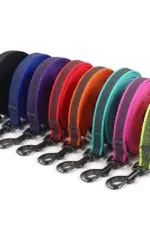 1.5M 2M 3M 15M Medium small Long Dog Leash 10M Latex Silk Easy and Convenient Light Training Big Dog Leashes 5 meter