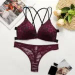 Popular  lace lingerie set, European and American style, deep backless front clasp bra set