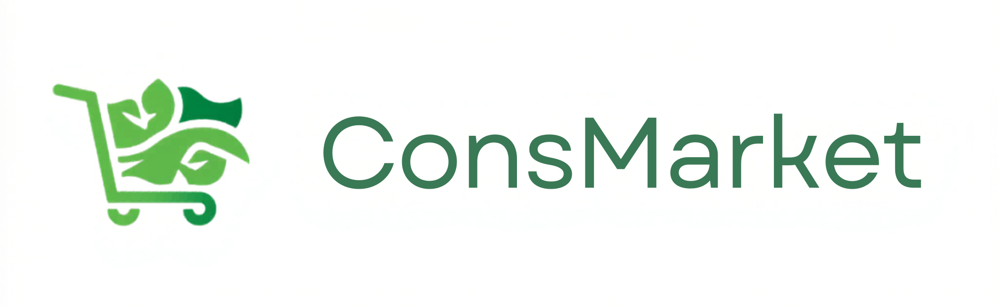 CONSMARKET LLC